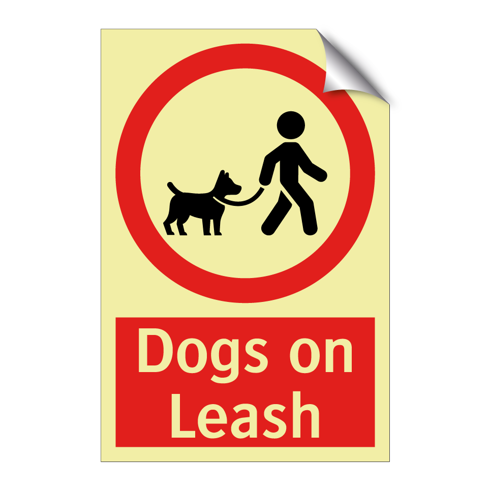 Dogs on Leash