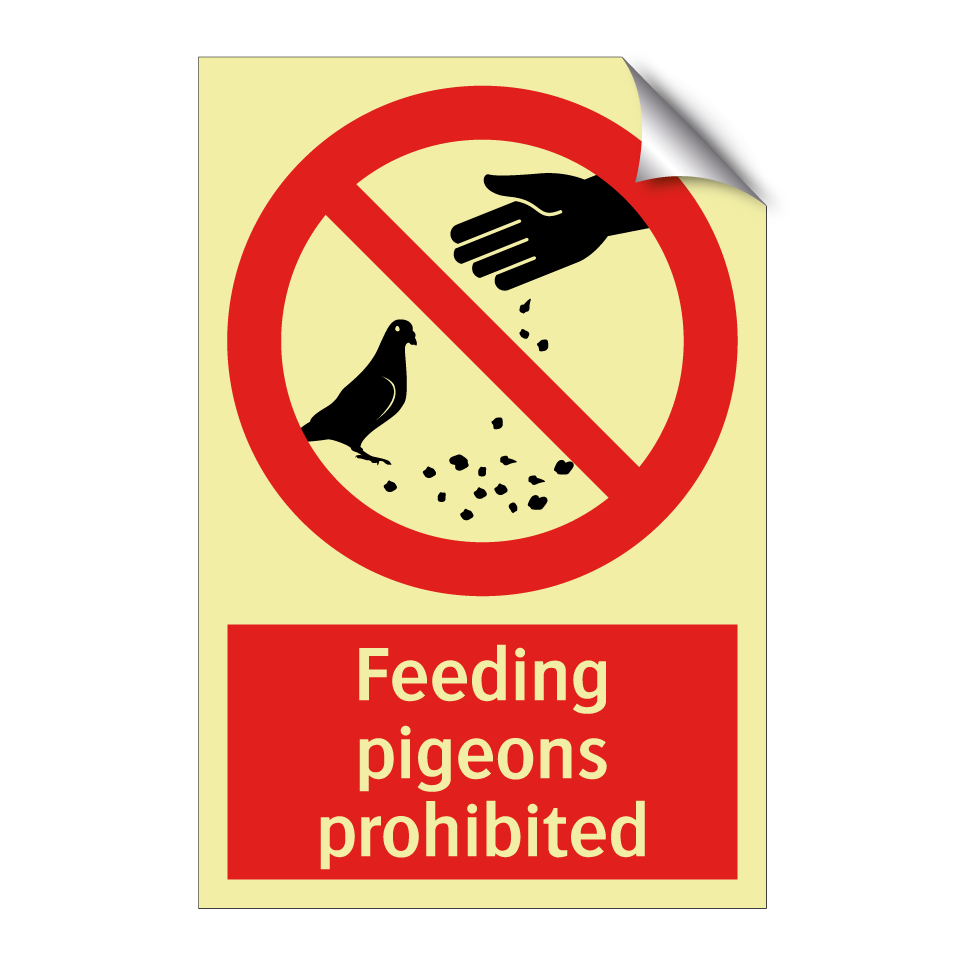 Feeding pigeons prohibited