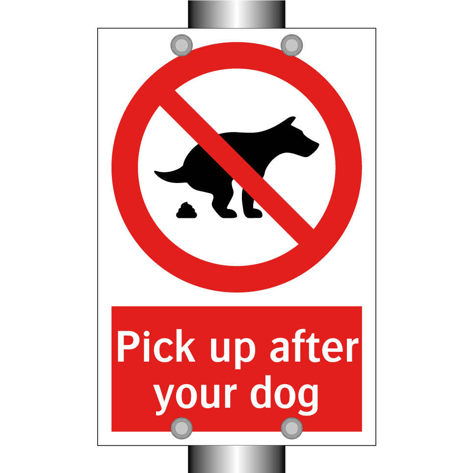 Pick up after your dog