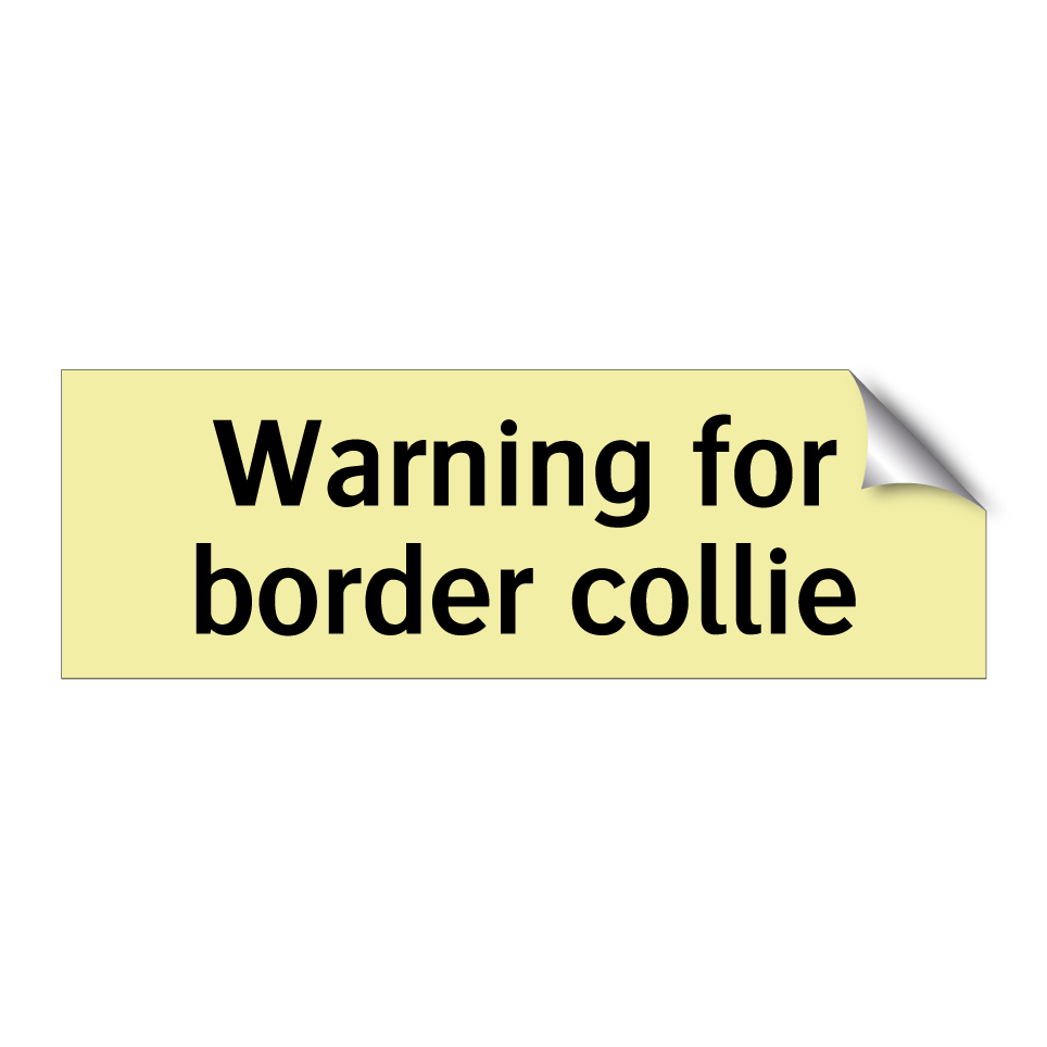 Warning for border collie