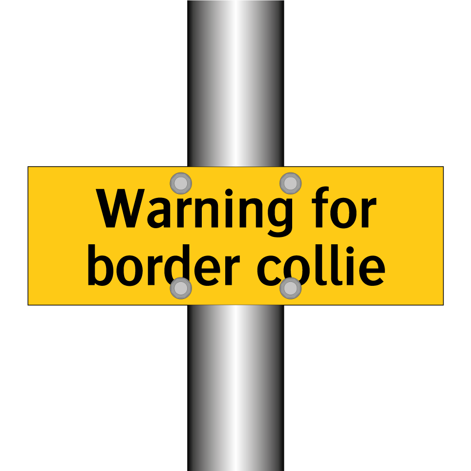 Warning for border collie