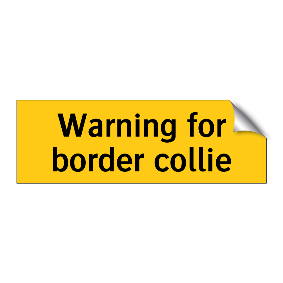 Warning for border collie