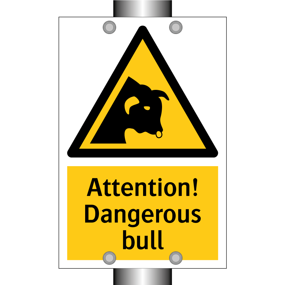 Attention! Dangerous bull