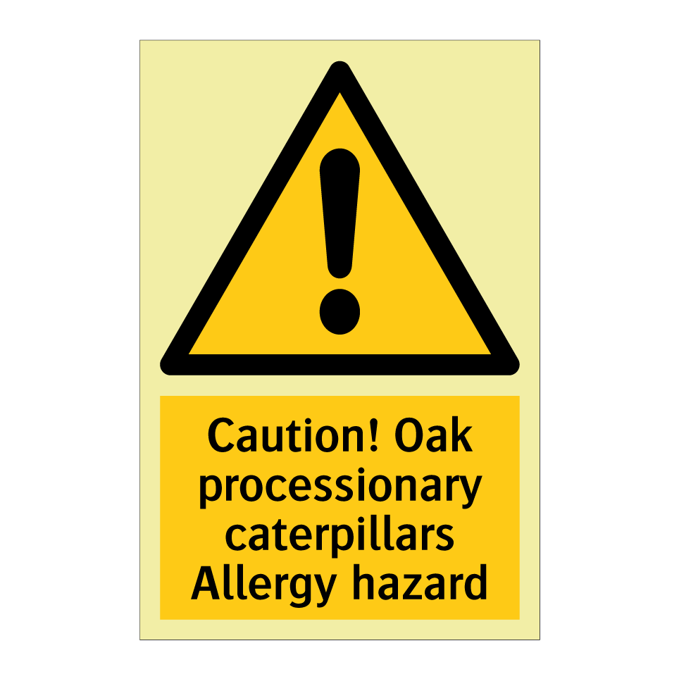 Caution! Oak processionary caterpillars Allergy hazard
