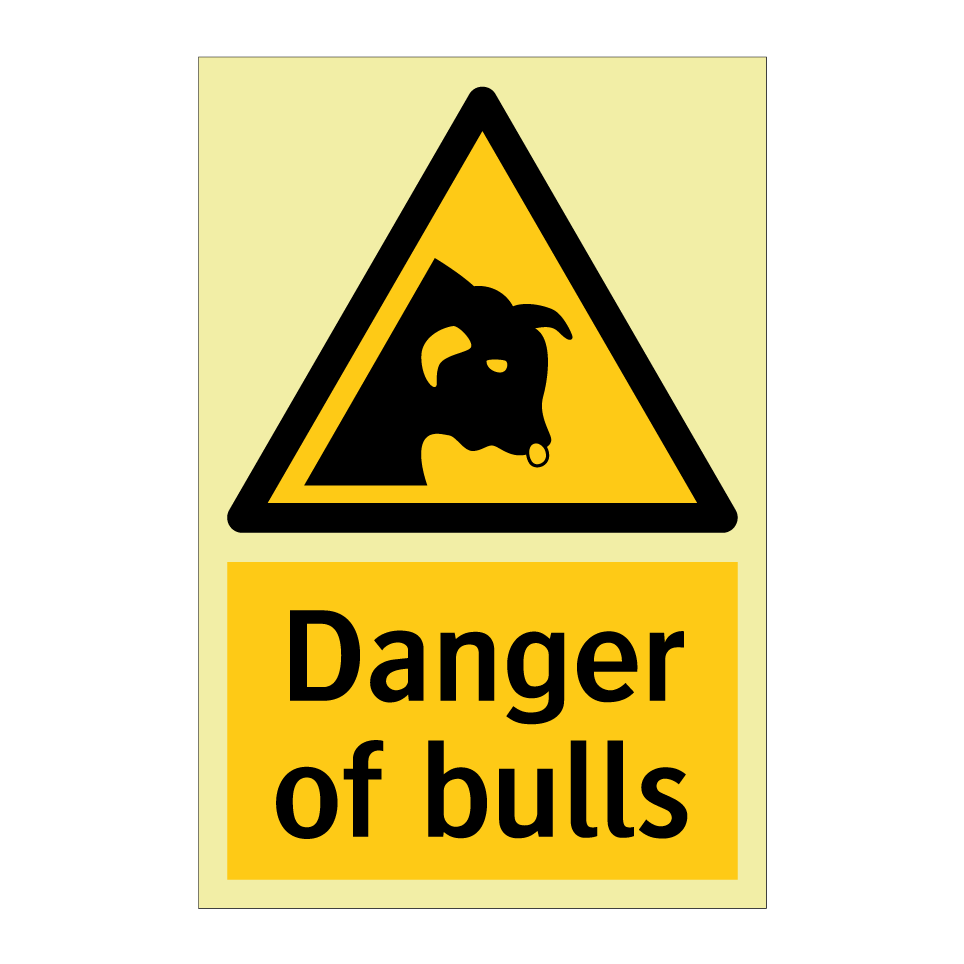 Danger of bulls