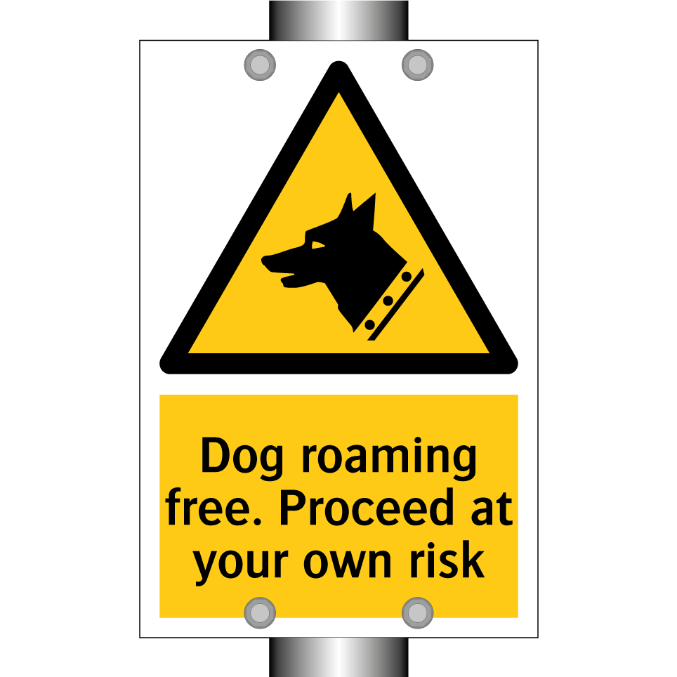 Dog roaming free. Proceed at your own risk