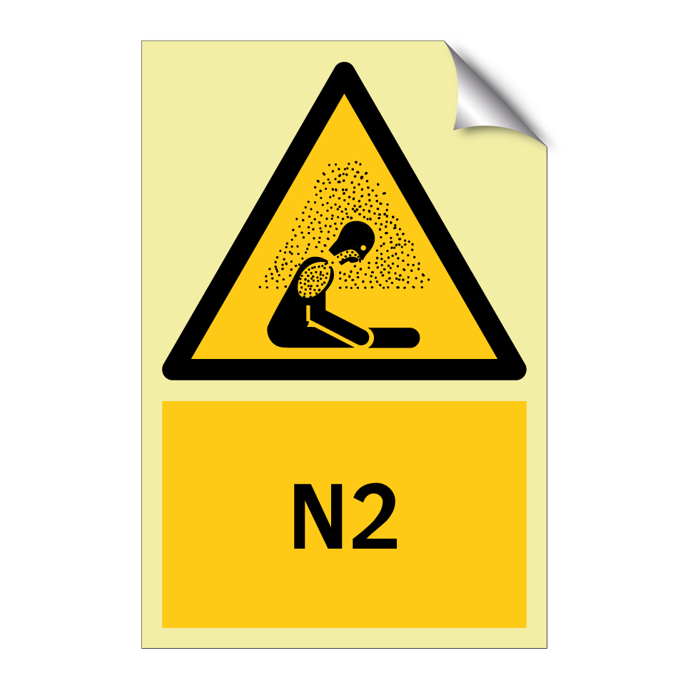 N2