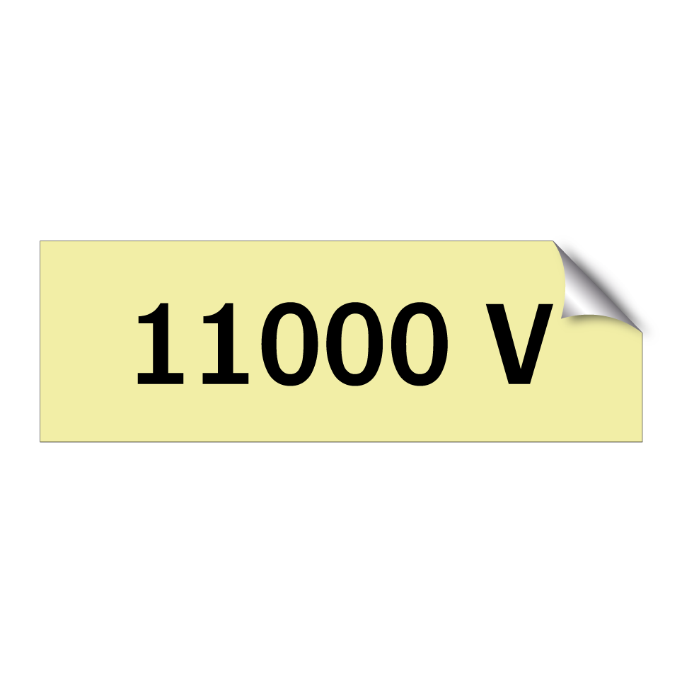 11000 V