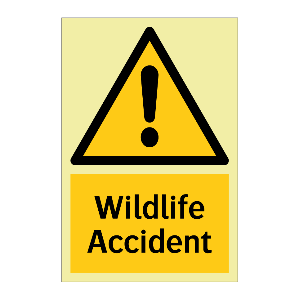 Wildlife Accident