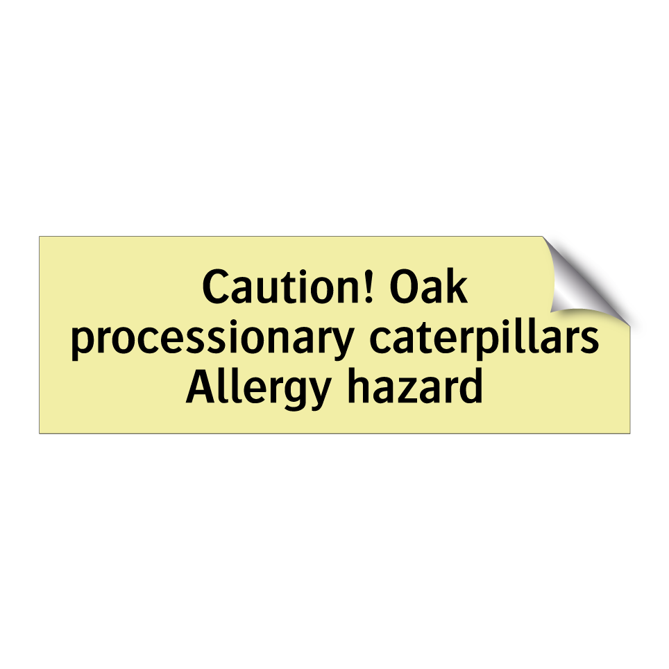 Caution! Oak processionary caterpillars Allergy hazard