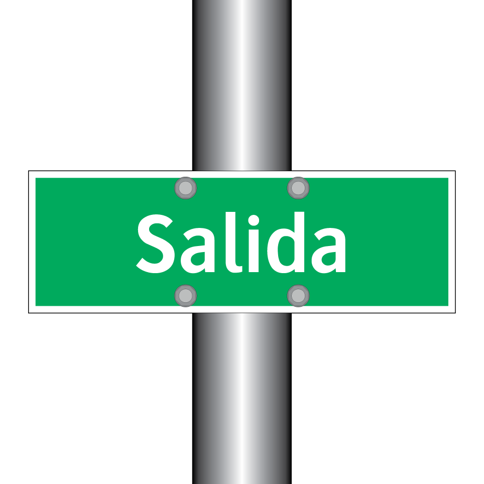 Salida