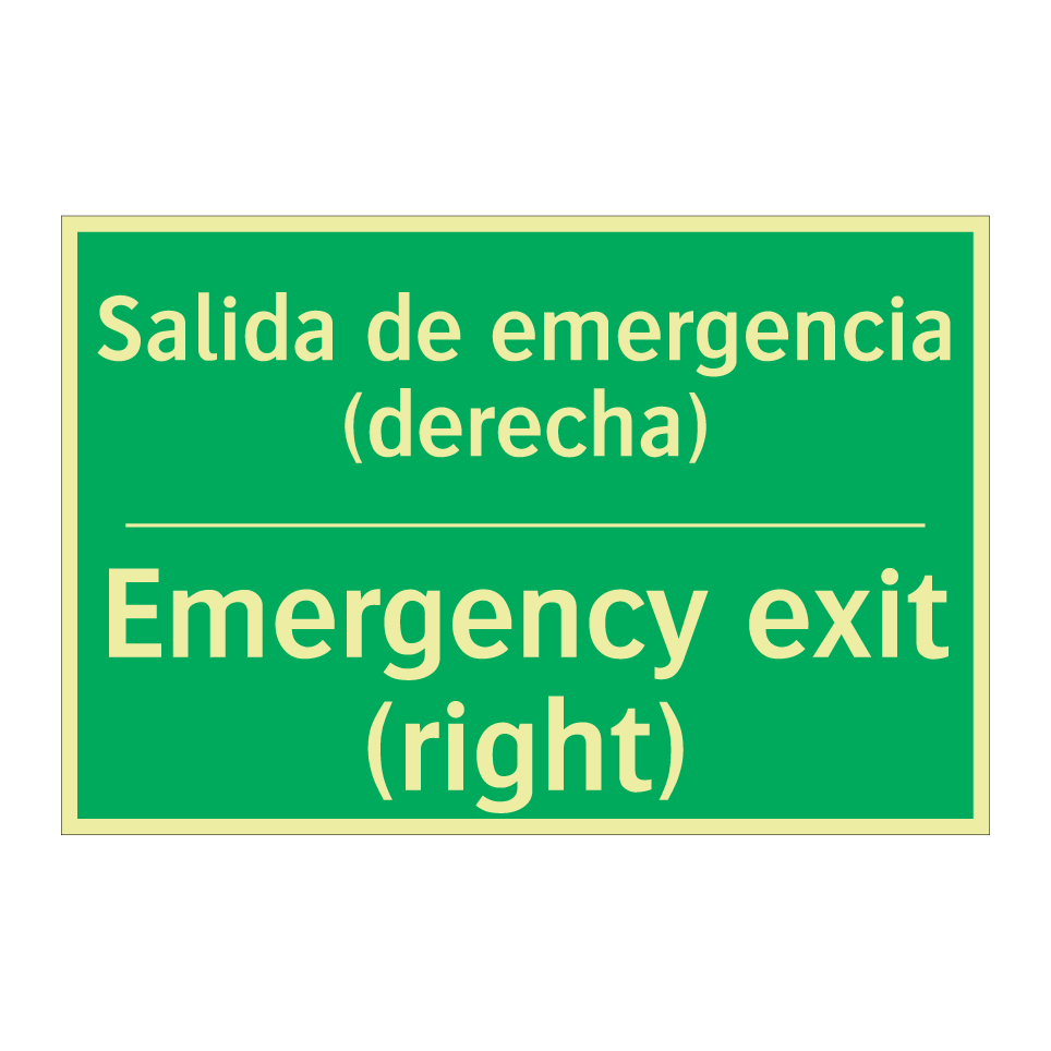 Salida de emergencia (derecha) - Emergency exit (right)