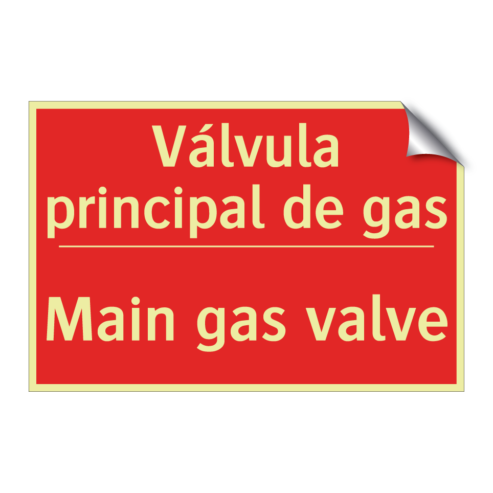 Válvula principal de gas - Main gas valve