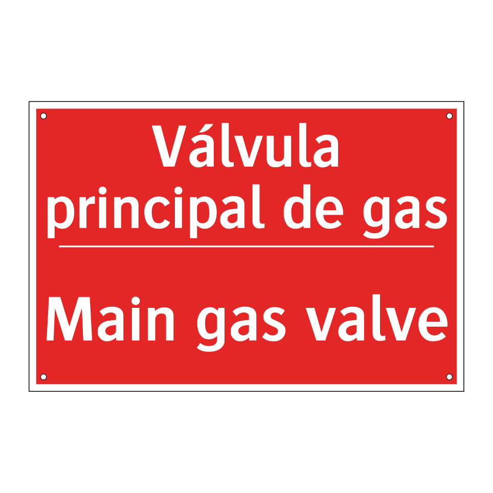 Válvula principal de gas - Main gas valve