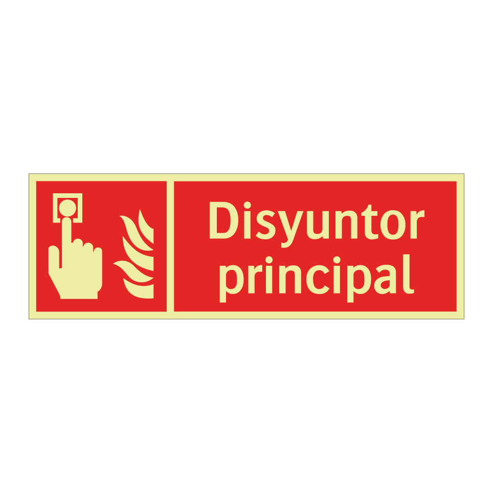 Disyuntor principal