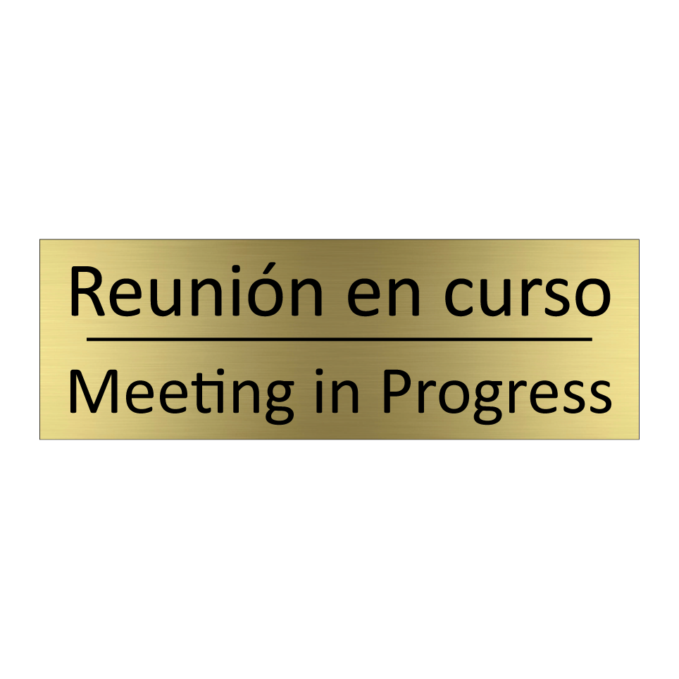 Reunión en curso - Meeting in Progress
