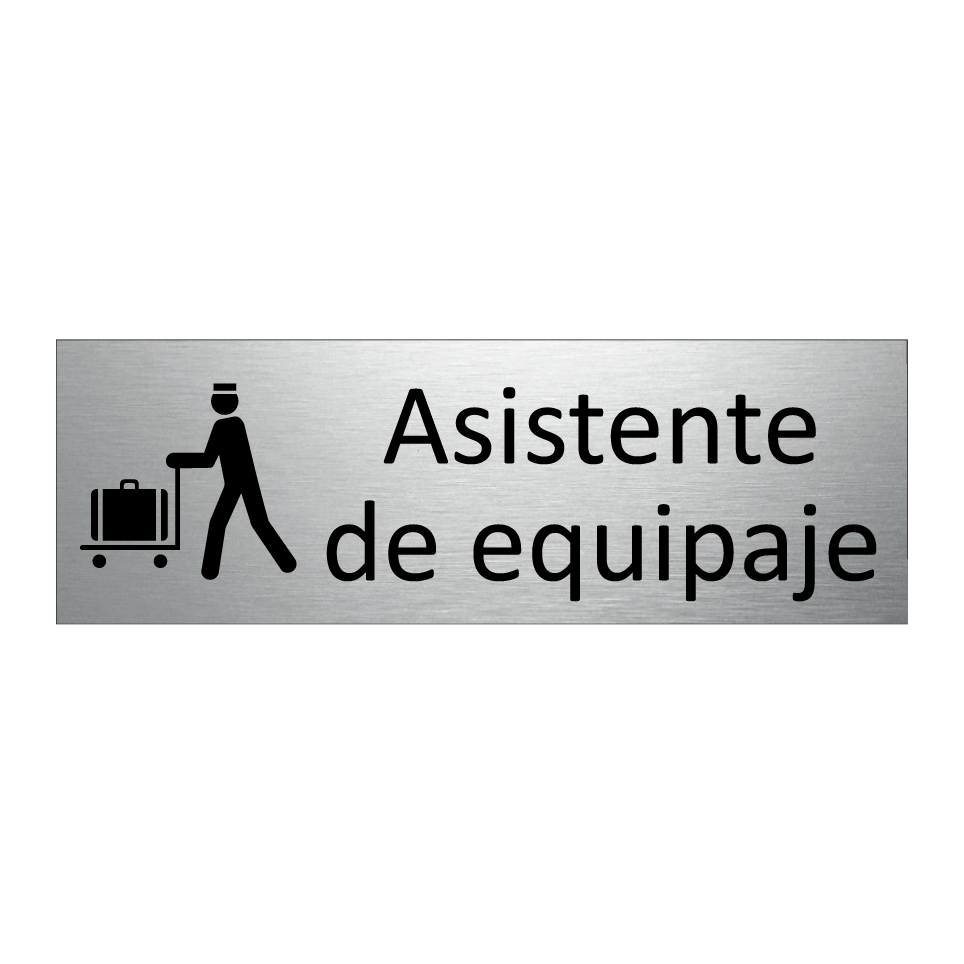 Asistente de equipaje