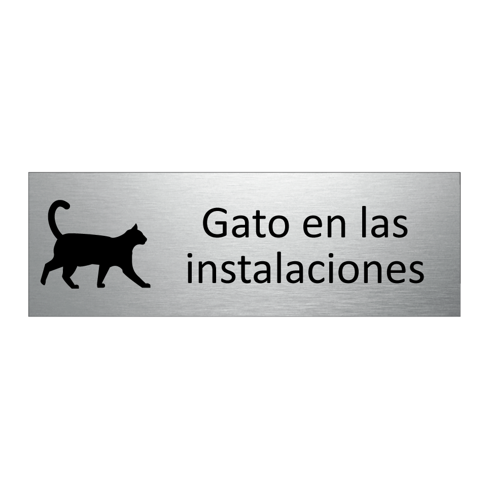Gato en las instalaciones