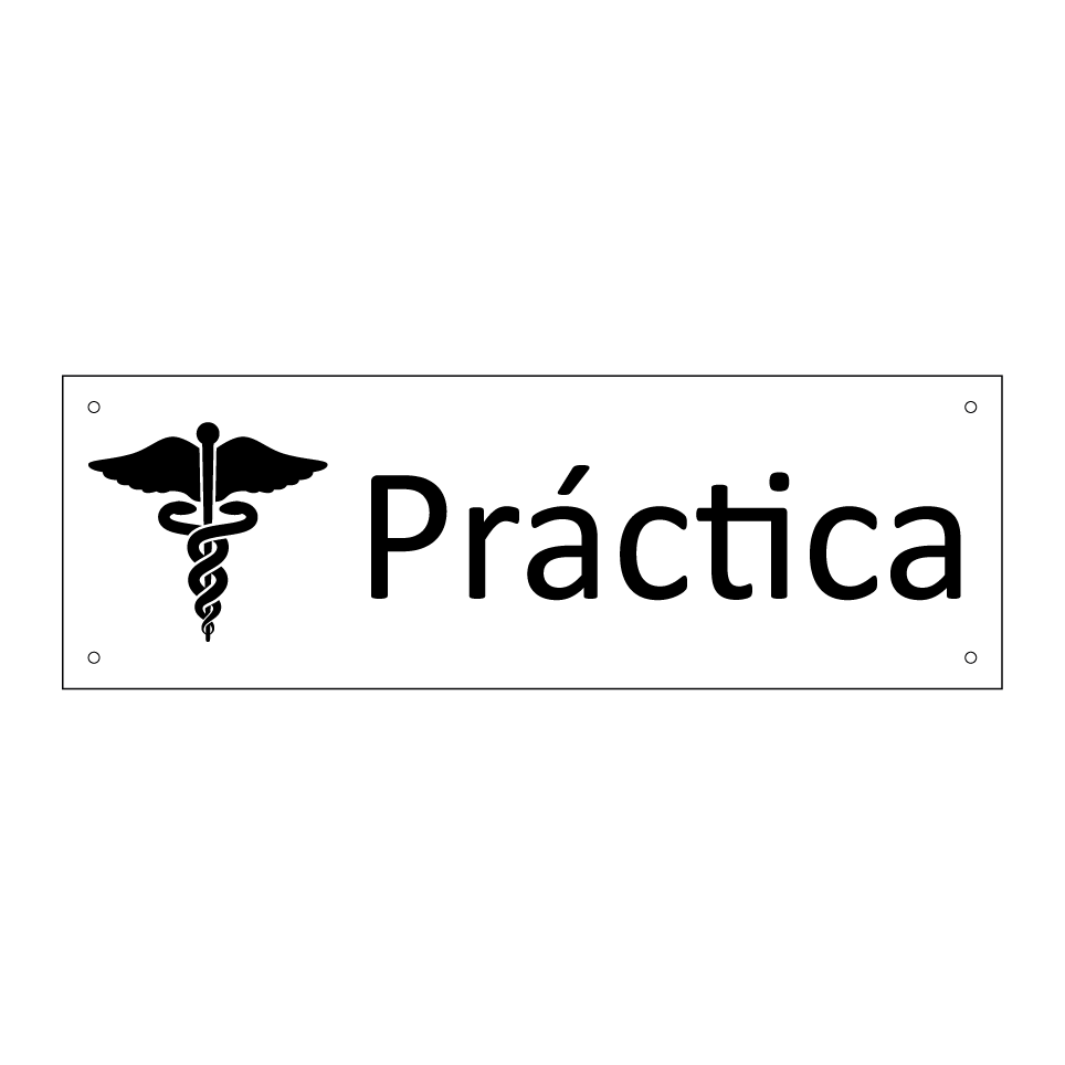 Práctica