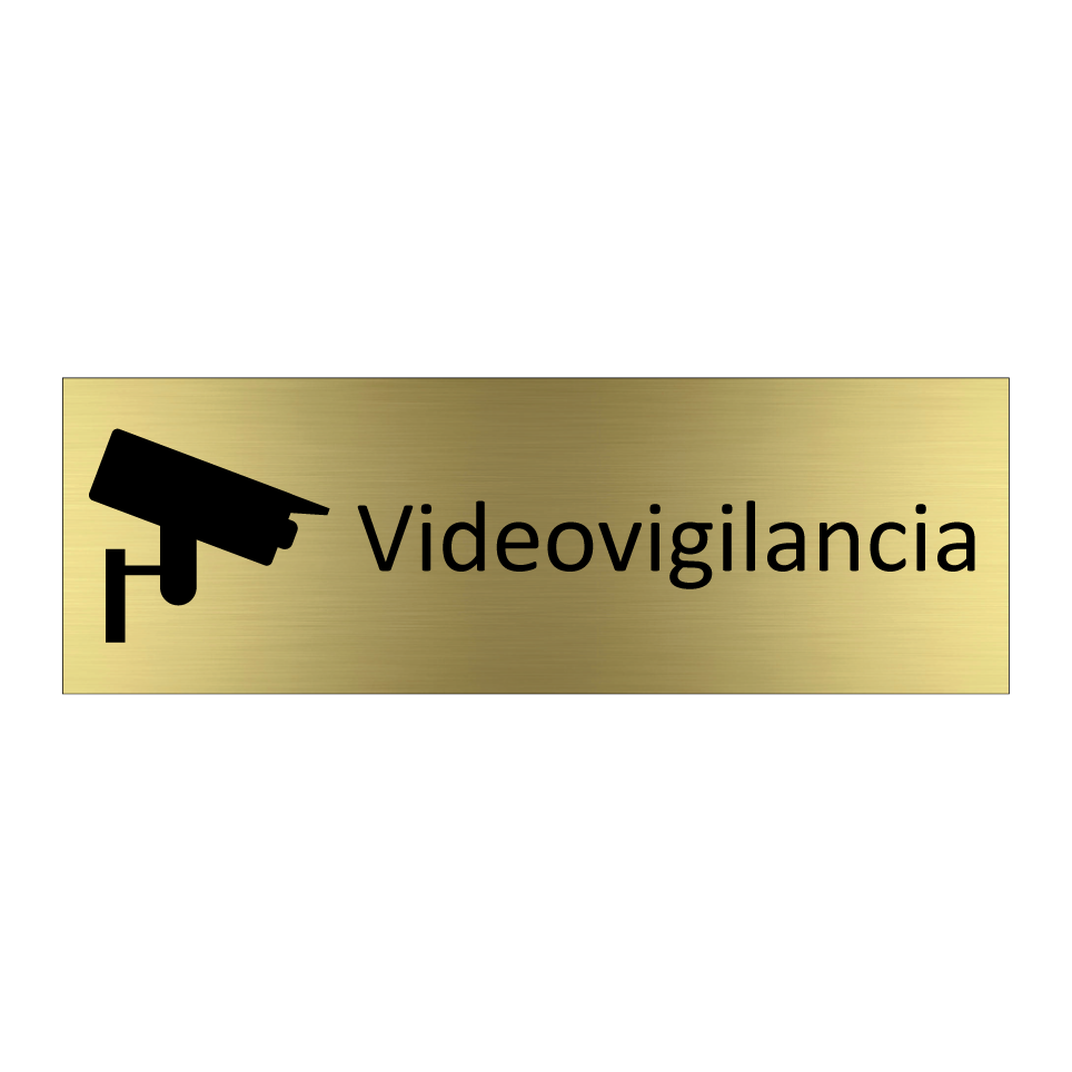 Videovigilancia