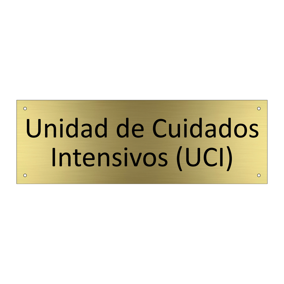 Unidad de Cuidados Intensivos (UCI)