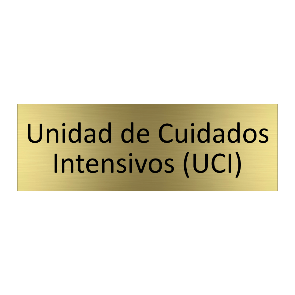 Unidad de Cuidados Intensivos (UCI)