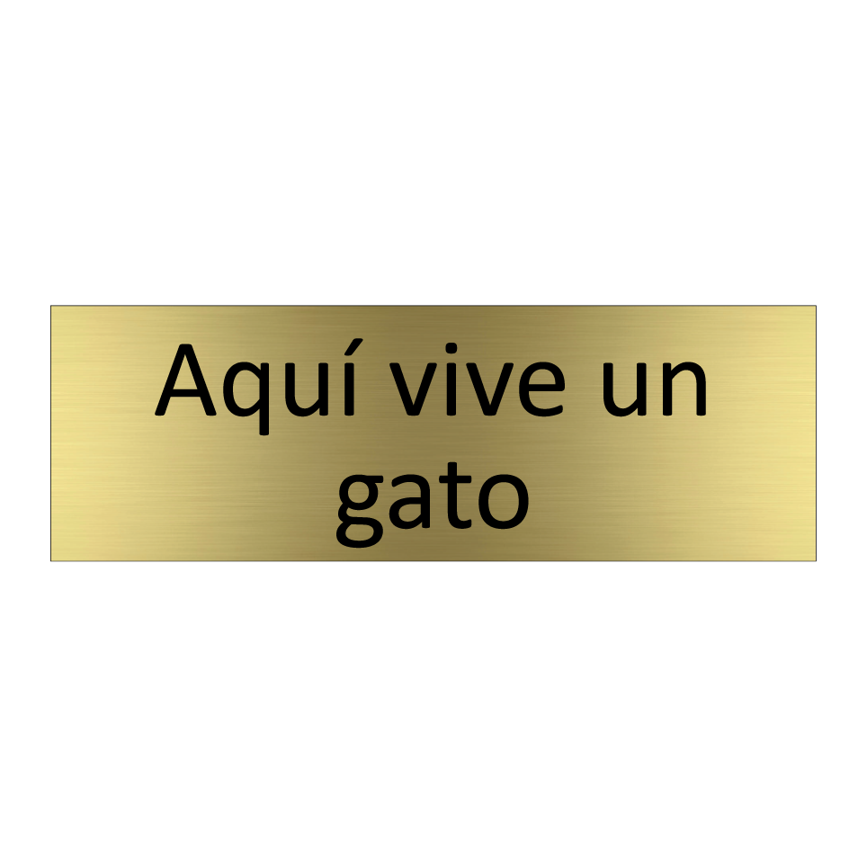Aquí vive un gato