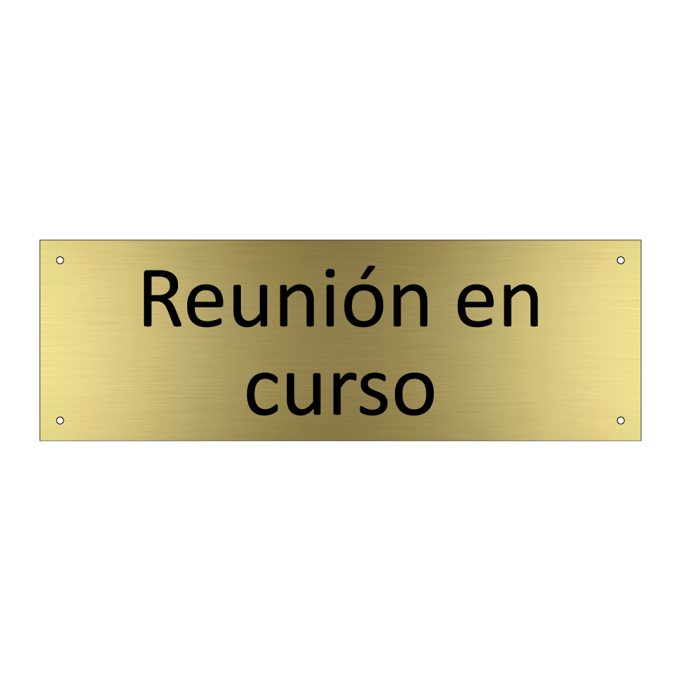 Reunión en curso