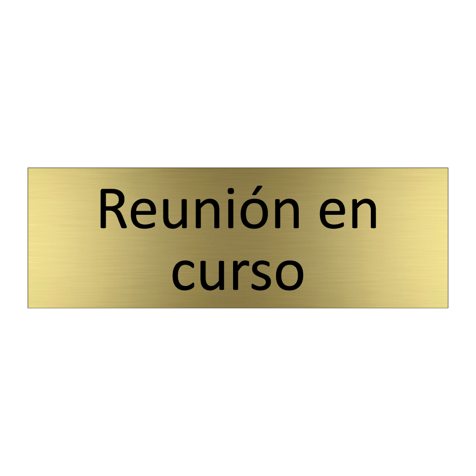 Reunión en curso