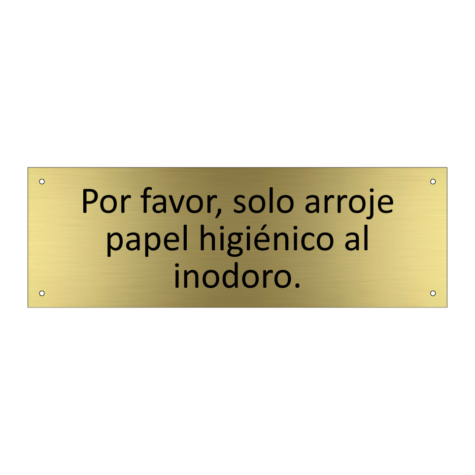 Por favor, solo arroje papel higiénico al inodoro.