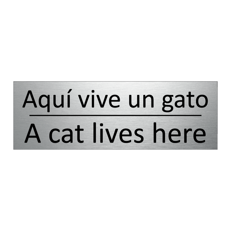 Aquí vive un gato - A cat lives here