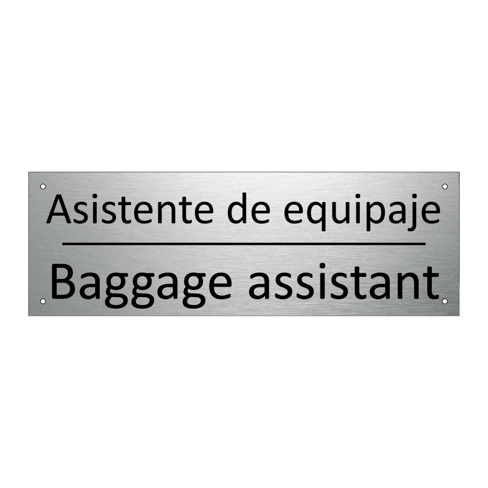 Asistente de equipaje - Baggage assistant