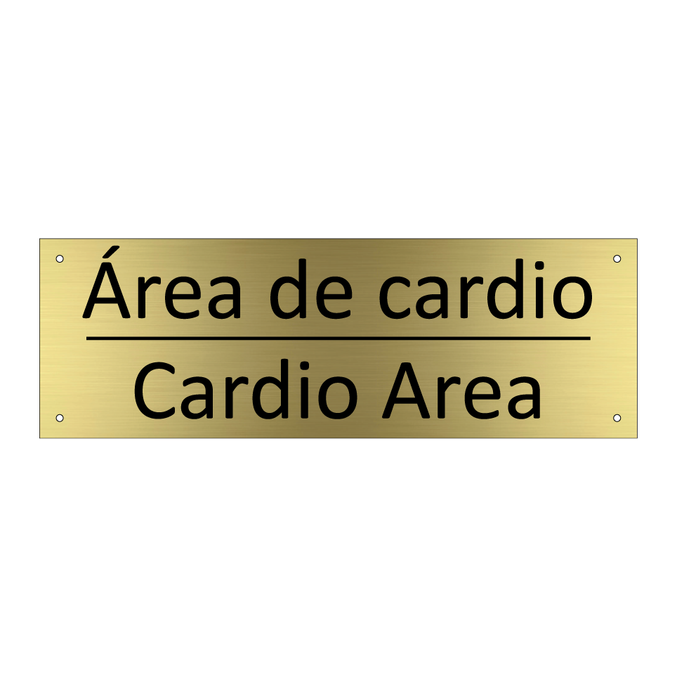 Área de cardio - Cardio Area