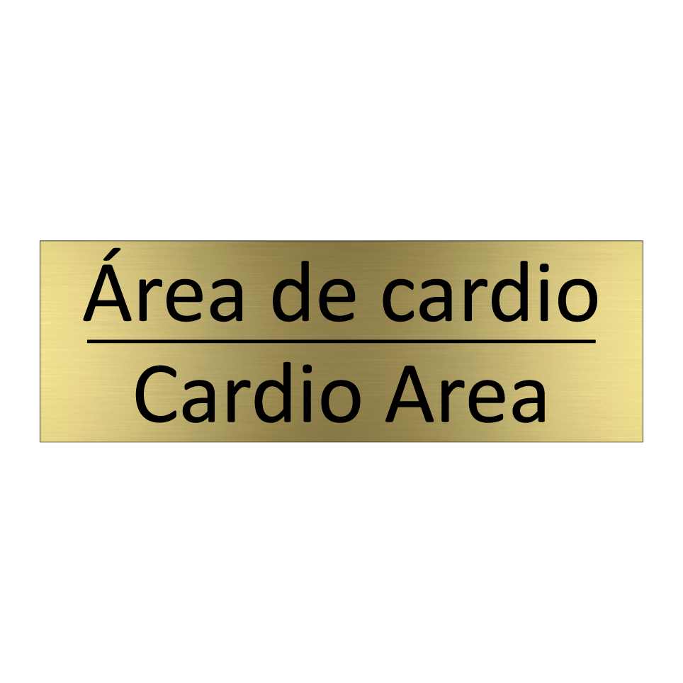 Área de cardio - Cardio Area