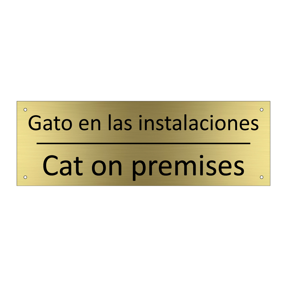 Gato en las instalaciones - Cat on premises