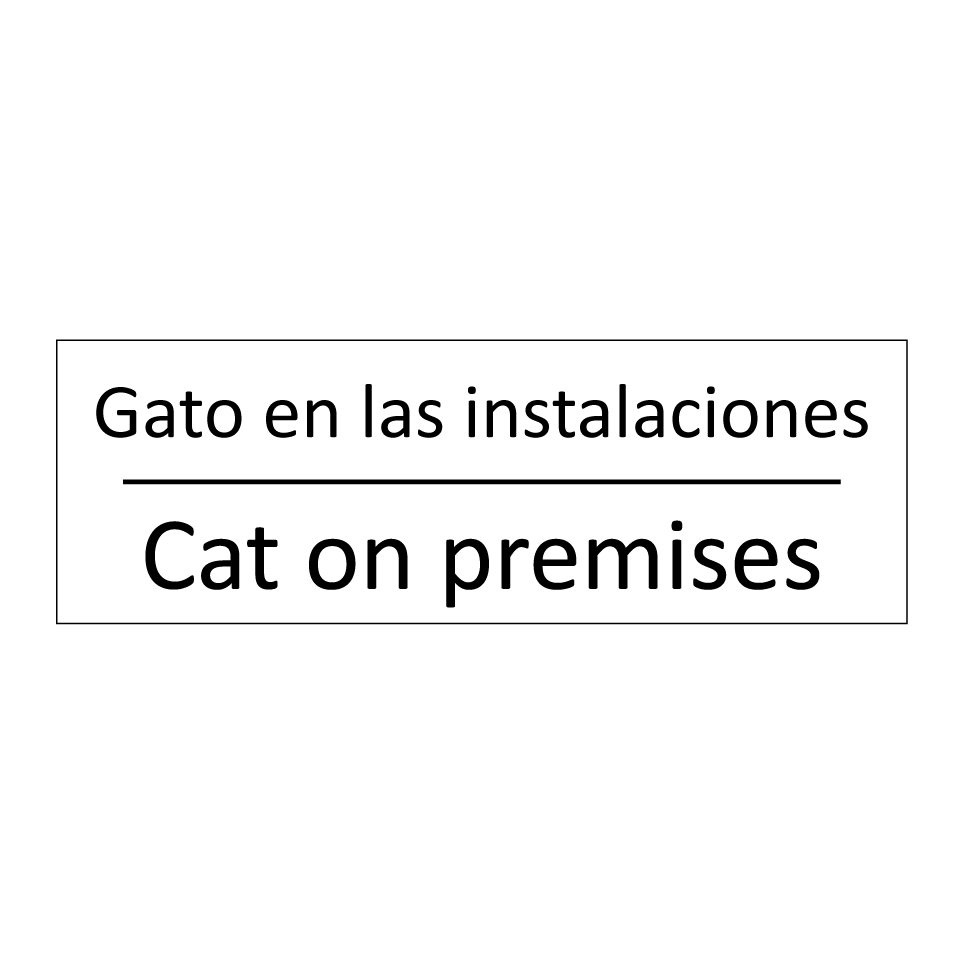 Gato en las instalaciones - Cat on premises