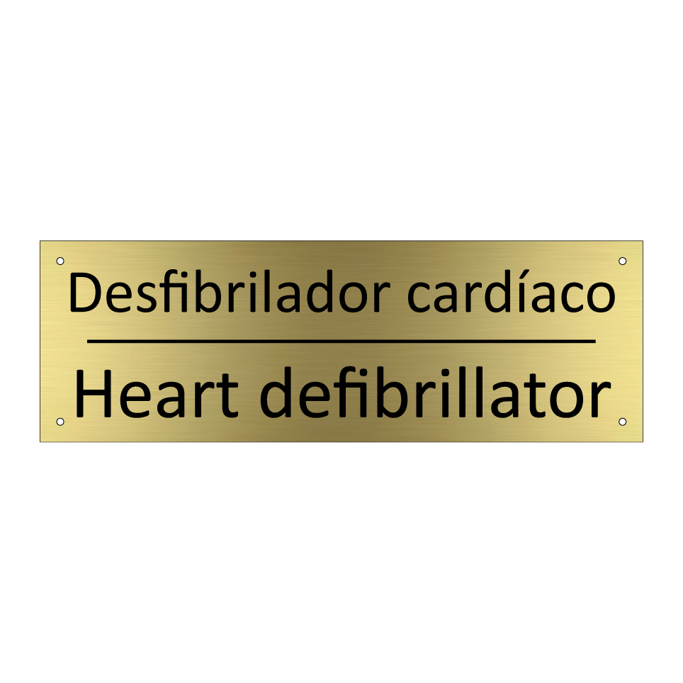 Desfibrilador cardíaco - Heart defibrillator
