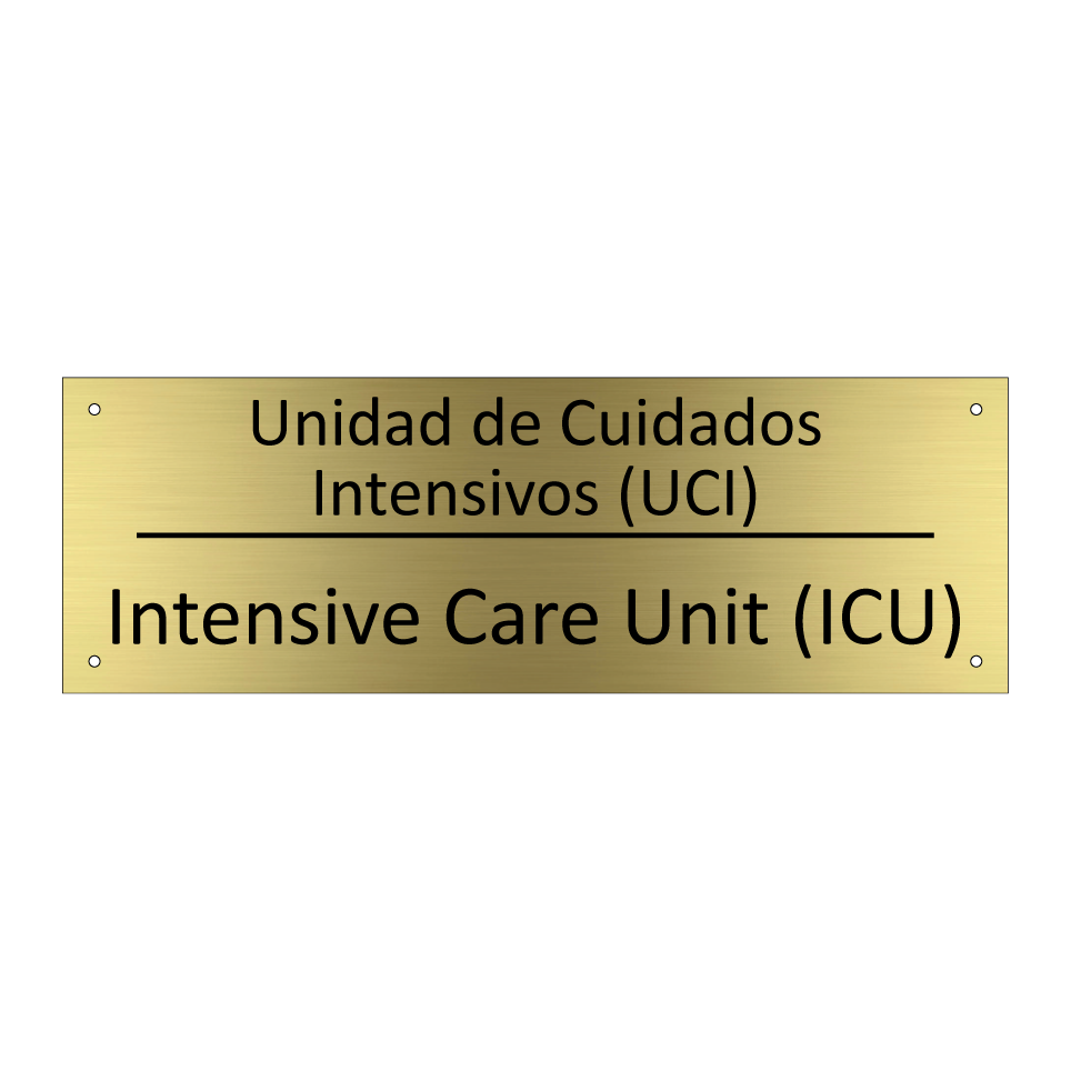 Unidad de Cuidados Intensivos /.../ - Intensive Care Unit (ICU)