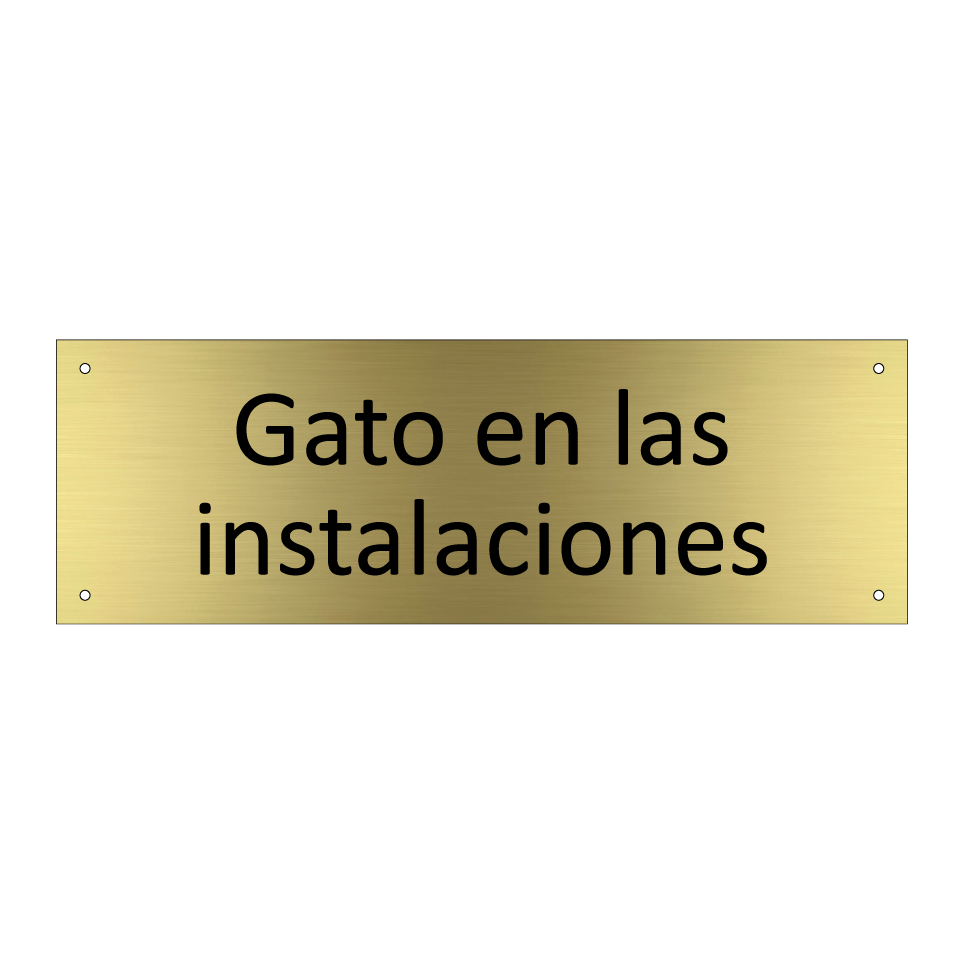 Gato en las instalaciones