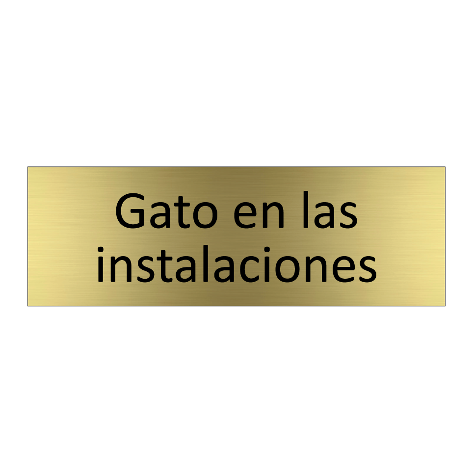 Gato en las instalaciones