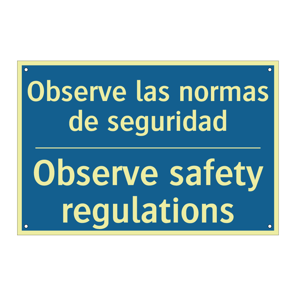 Observe las normas de seguridad /.../ - Observe safety regulations