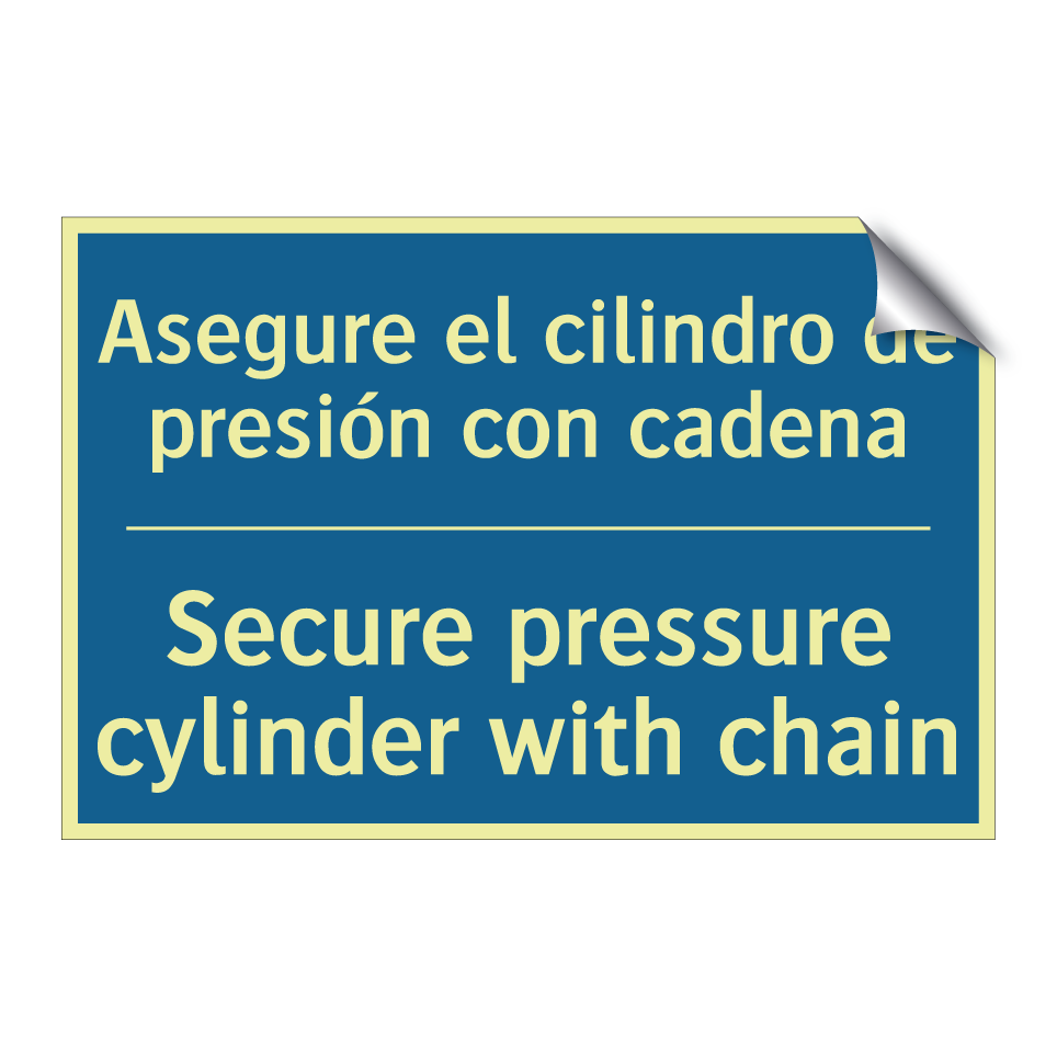 Asegure el cilindro de presión /.../ - Secure pressure cylinder with /.../