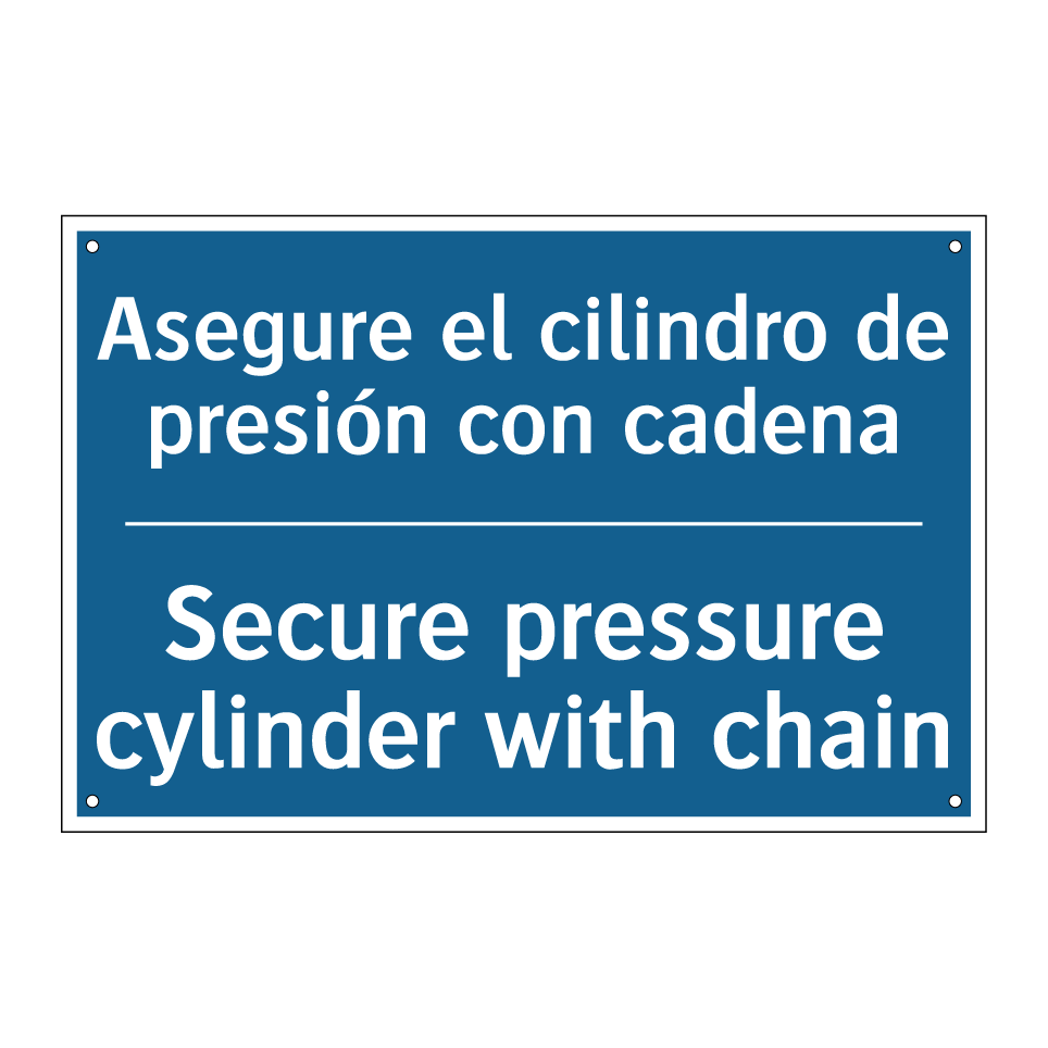 Asegure el cilindro de presión /.../ - Secure pressure cylinder with /.../