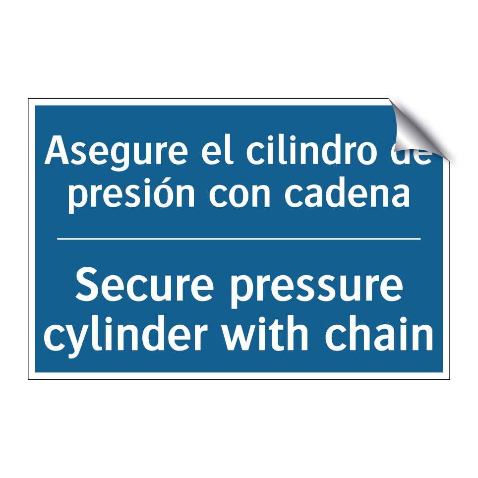 Asegure el cilindro de presión /.../ - Secure pressure cylinder with /.../