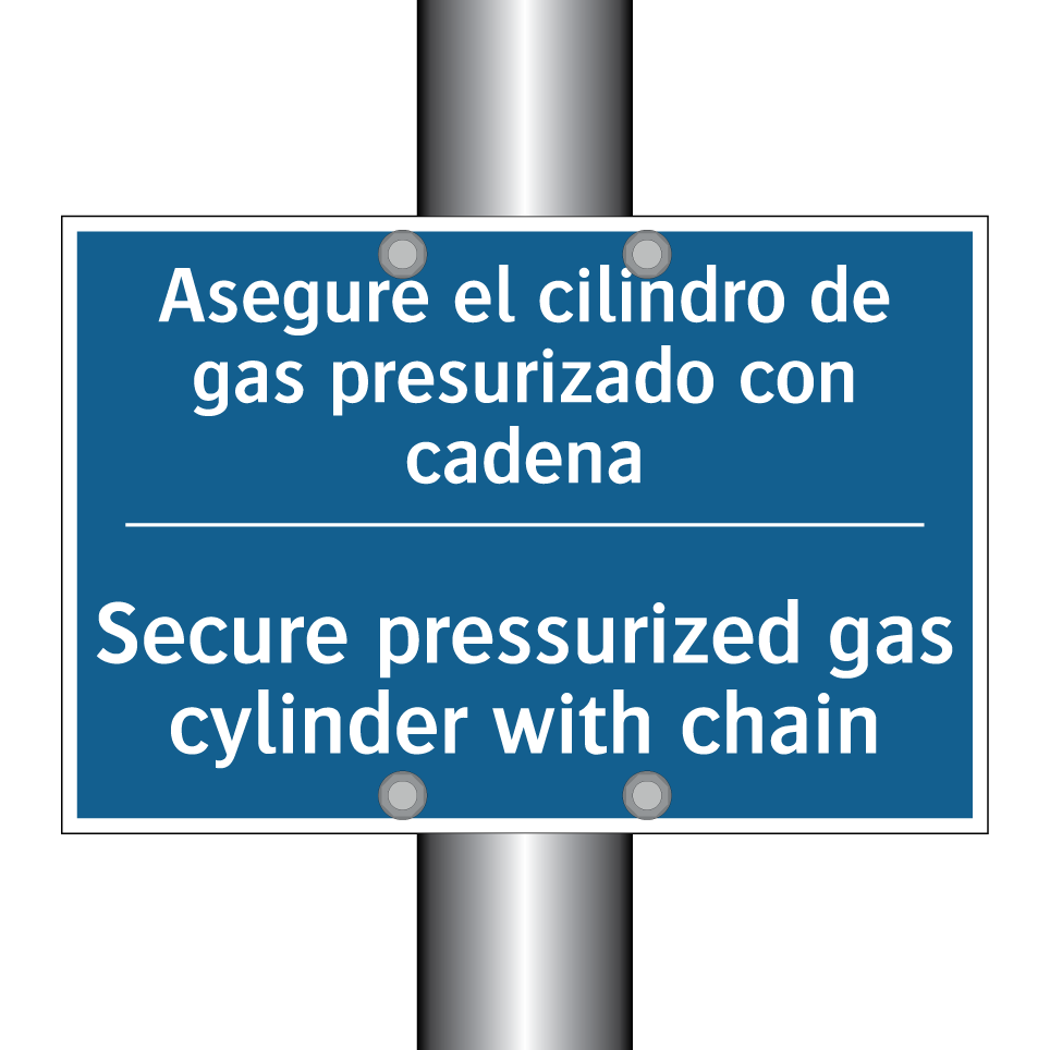 Asegure el cilindro de gas presurizado /.../ - Secure pressurized gas cylinder /.../