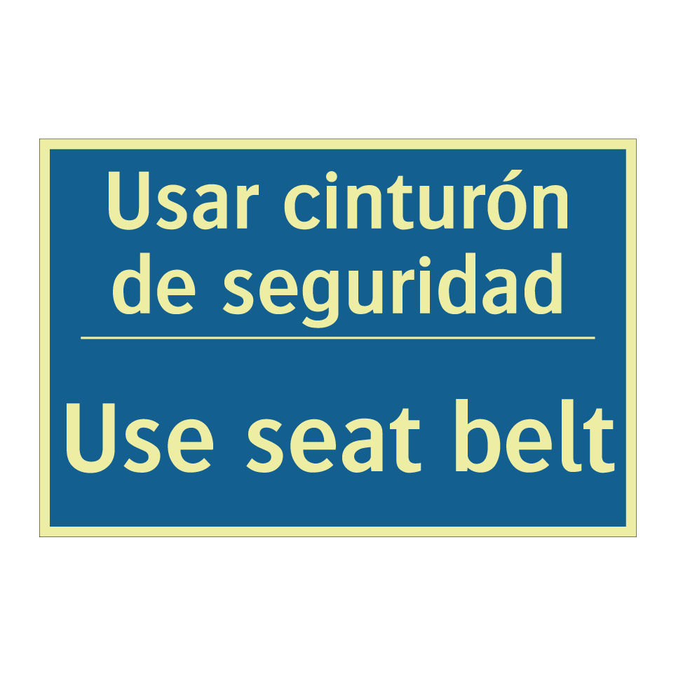 Usar cinturón de seguridad - Use seat belt