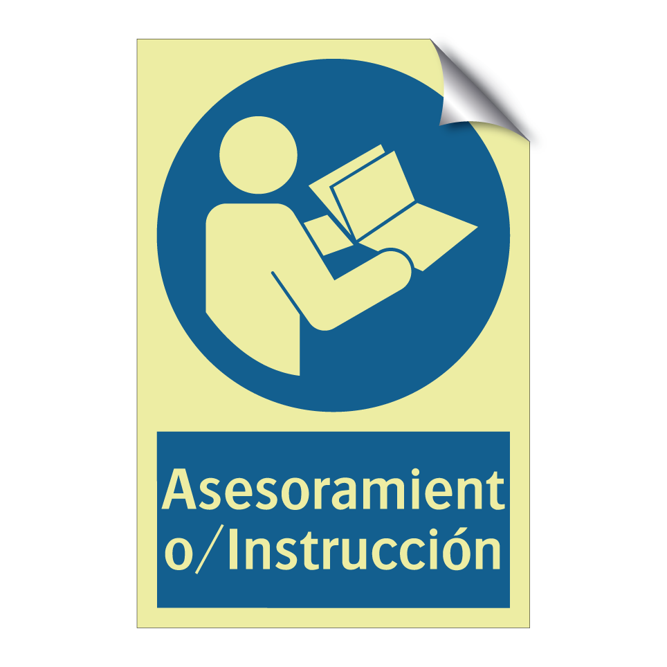 Asesoramiento/Instrucción