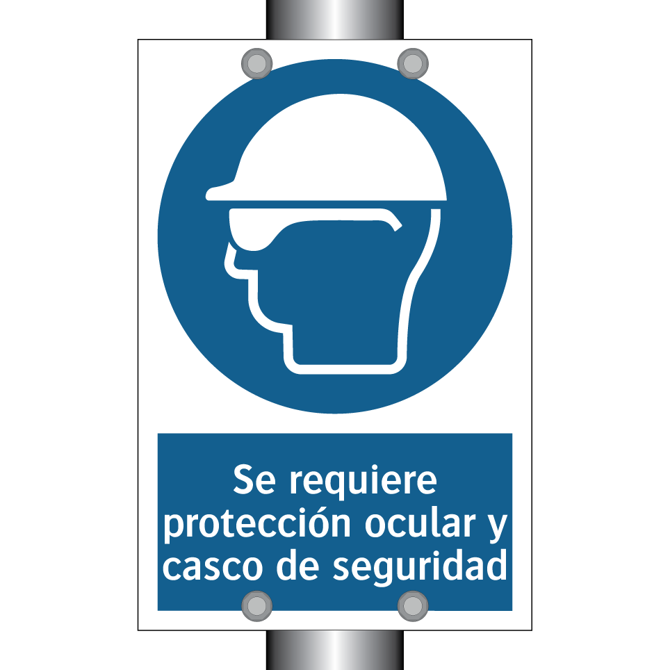 Se requiere protección ocular y casco de seguridad