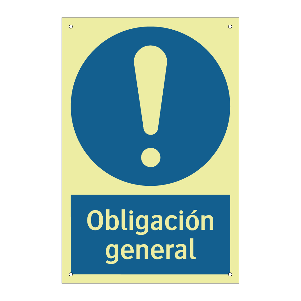 Obligación general