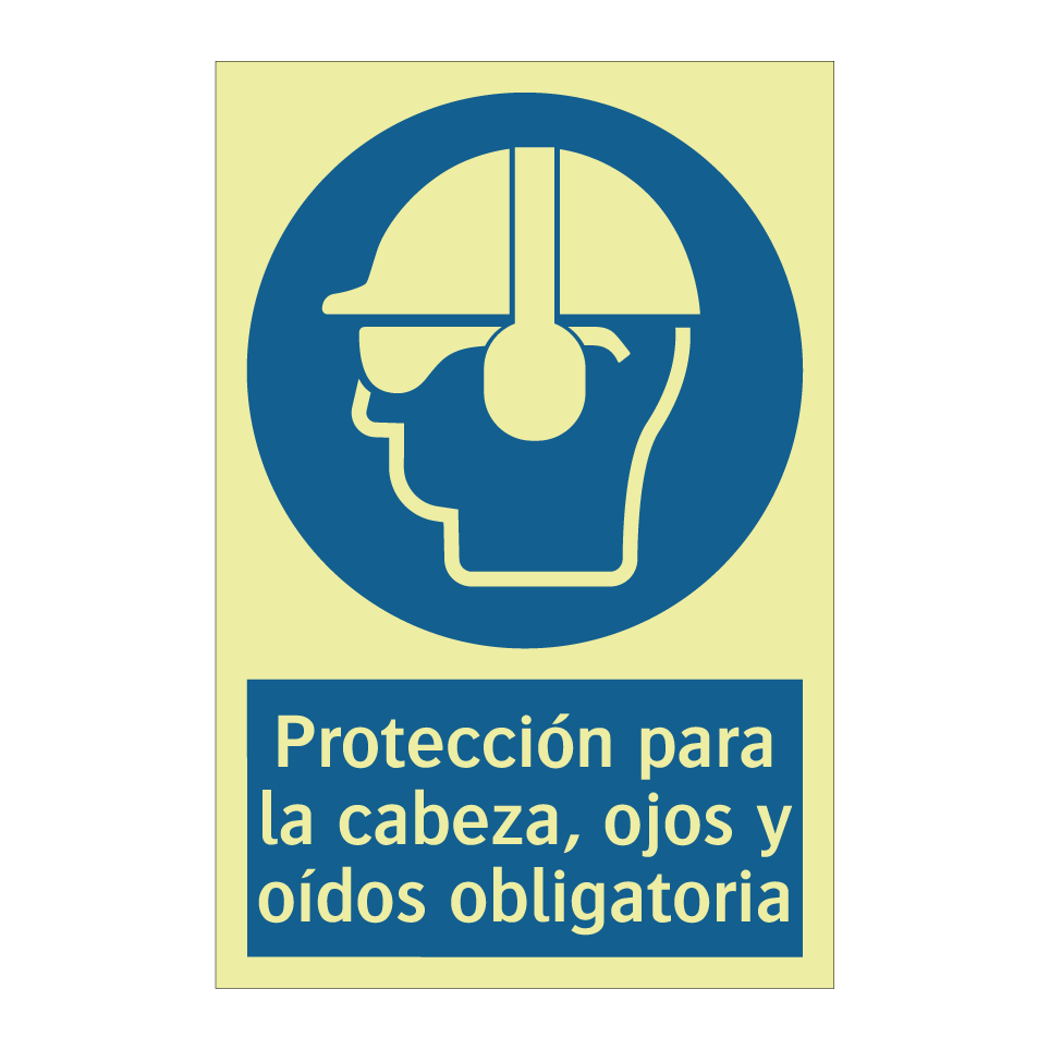 Protección para la cabeza, ojos y oídos obligatoria
